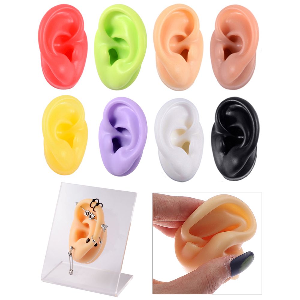 Model Kit Display Case - Modèle d'oreille en Silicone souple, 1