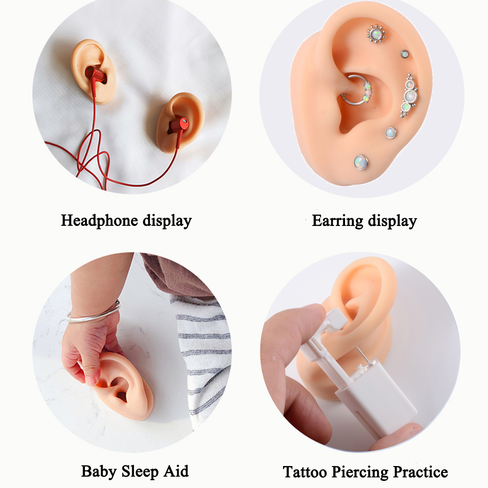 Modèle d'oreille en Silicone s - Model Kit Display Case avis et prix